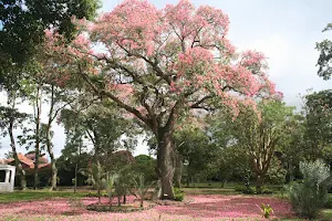 Santa Cruz de la Sierra Botanical Garden image