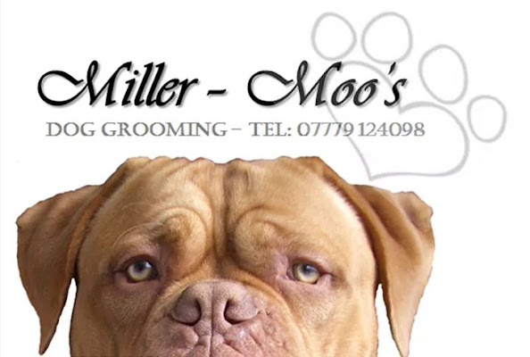 Miller - Moo's Dog Grooming