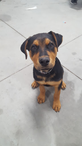 5083 Droubay Rd, Tooele, UT 84074, USA