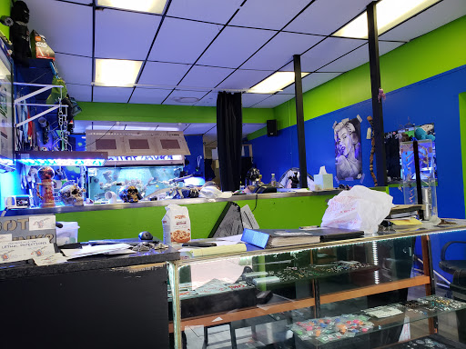 Body Piercing Shop «Lethal Injections Tattoos & Body Piercings», reviews and photos, 512 Race St, Cambridge, MD 21613, USA