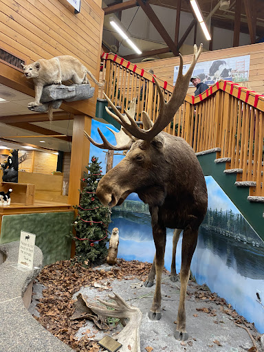 Outdoor Sports Store «Kittery Trading Post», reviews and photos, 301 US-1, Kittery, ME 03904, USA