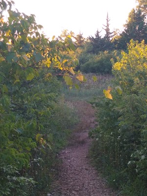 Streamway Park - photo 91