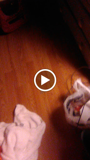 1420 Dellwood Rd, Waynesville, NC 28786, USA