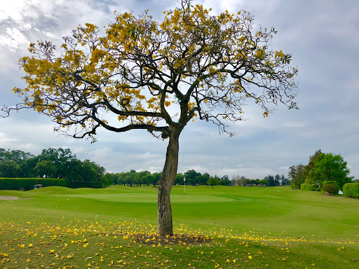 Golf Club «Grande Oaks Golf Club», reviews and photos, 3201 W Rolling Hills Cir, Davie, FL 33328, USA