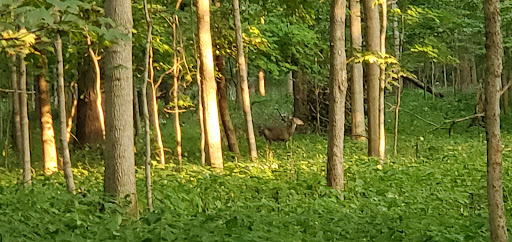 Golf Course «Woodruff Golf Course», reviews and photos, 621 Gougar Rd, Joliet, IL 60432, USA