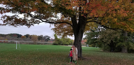 Park «Kawameeh Park», reviews and photos, 1750 Morris Ave, Union, NJ 07083, USA