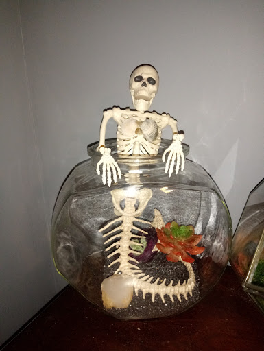 Craft Store «Michaels», reviews and photos, 15600 Panama City Beach Pkwy #540, Panama City Beach, FL 32413, USA