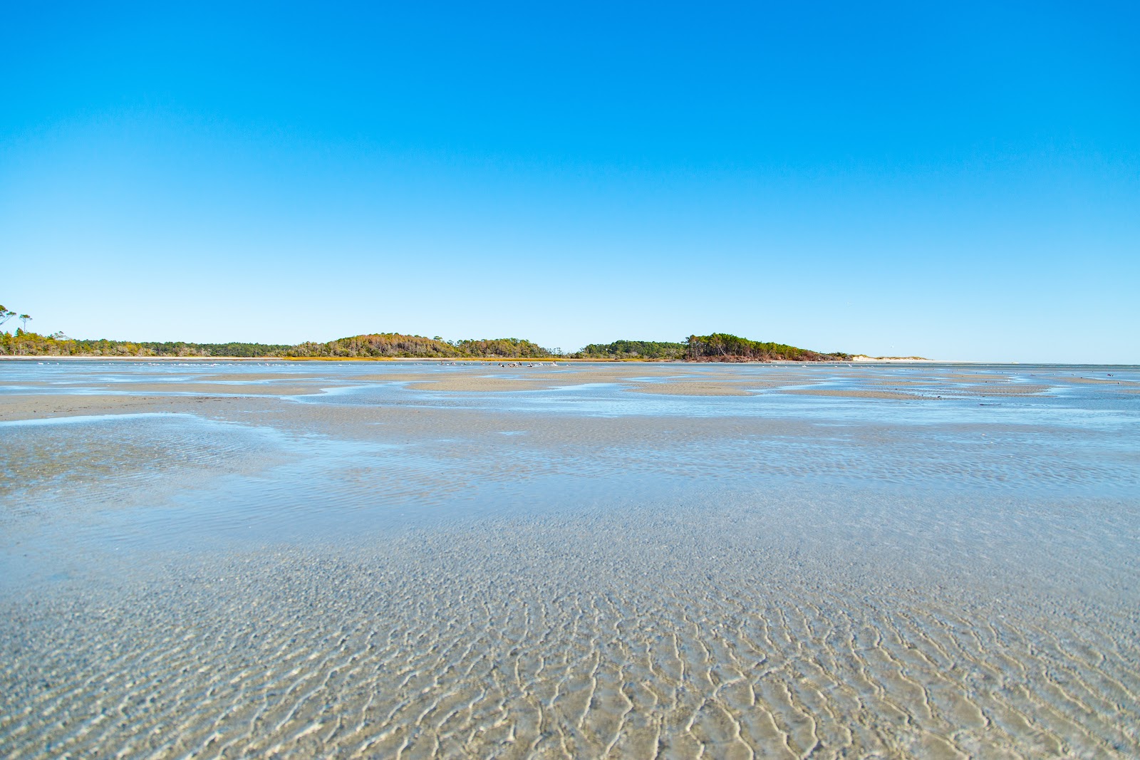 Foto de Cherry Grove Point com areia brilhante superfície