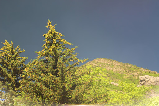 Wedding Venue «Millcreek Inn», reviews and photos, 5802 Millcreek Canyon Rd, Salt Lake City, UT 84124, USA