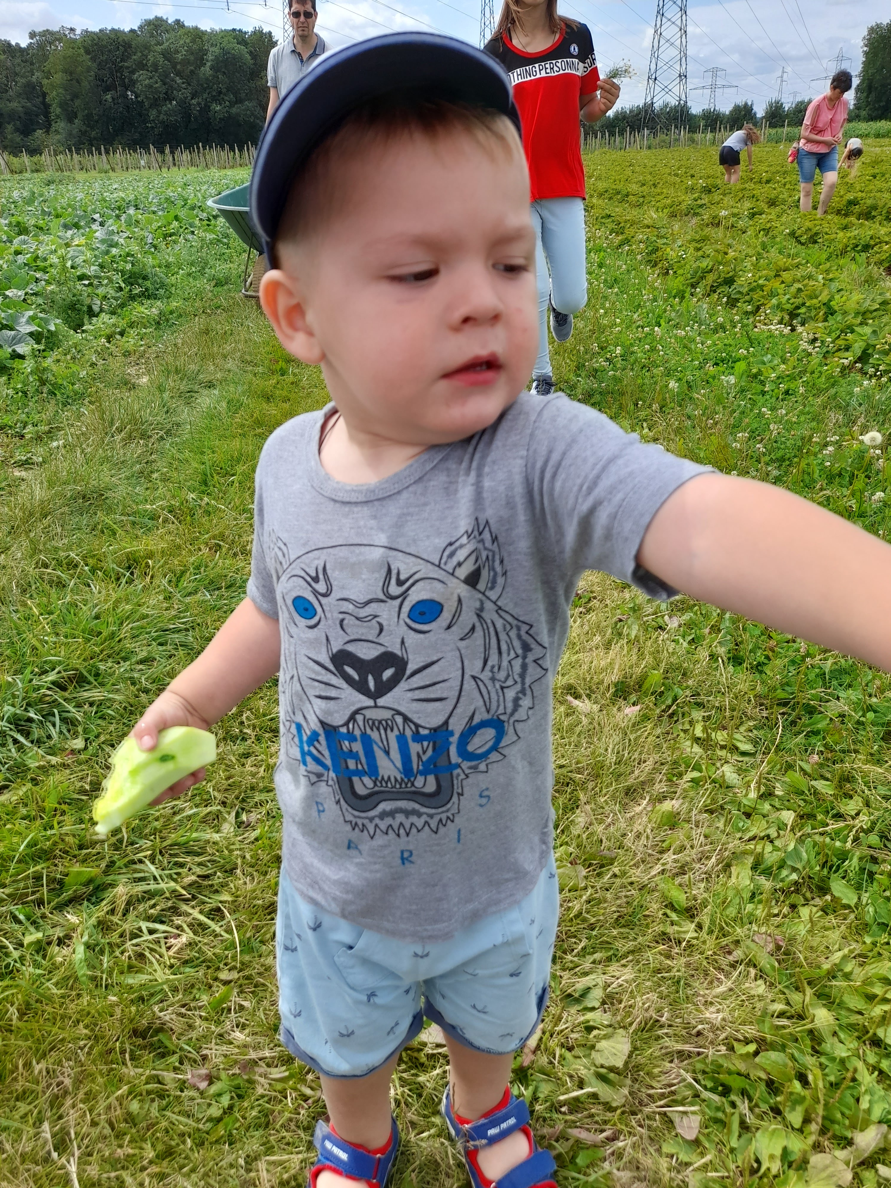 Photo n° 1 de l'avis de paulo.o fait le 27/07/2021 à 13:36