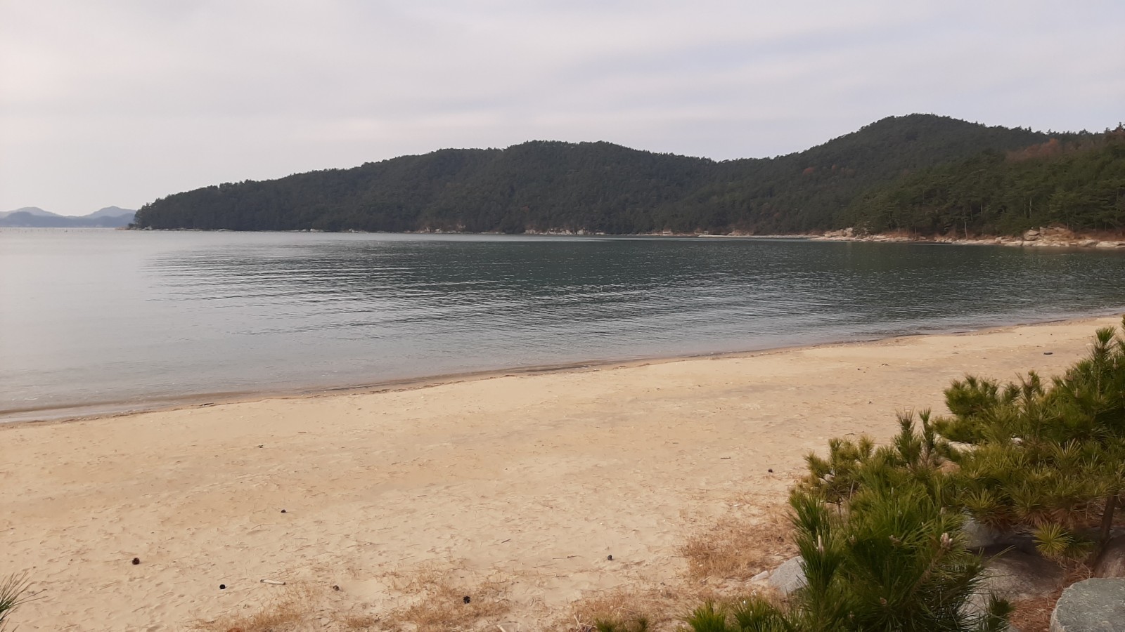 Zdjęcie Yeonyeon Beach dziki obszar