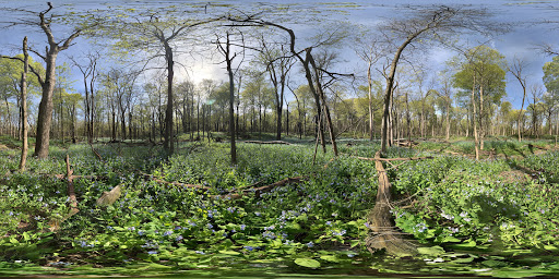Nature Preserve «Messenger Woods Nature Preserve», reviews and photos, 13800 W Bruce Rd, Homer Glen, IL 60491, USA