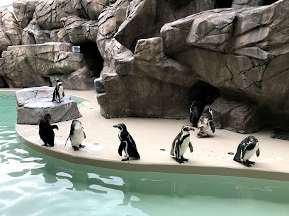 新潟市水族館 マリンピア日本海