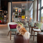 Photo n°2 de l'avis de Natasha.k fait le 06/11/2022 à 10:08 sur le  IntercityHotel Saarbrücken à Saarbrücken