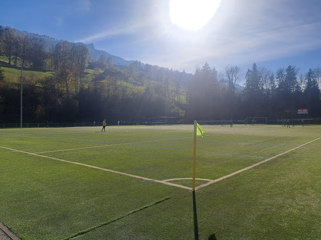 FC Reichenbach Fussballplatz - Sportstätte