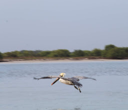 Natural San Felipe National Park photo
