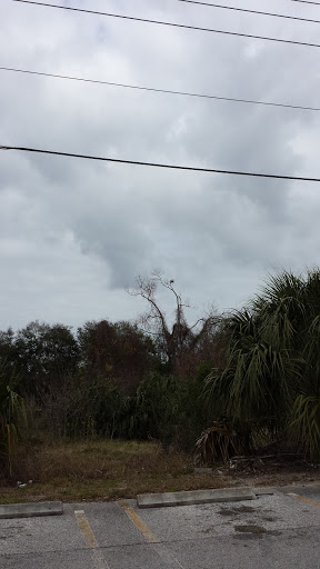 Department Store «Belk», reviews and photos, 2121 US-1, St Augustine, FL 32086, USA