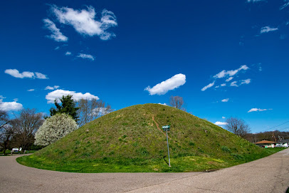 Hartman Mound