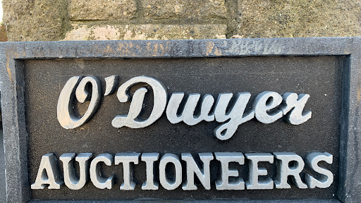 Thomas O'Dwyer & Sons MIPAV