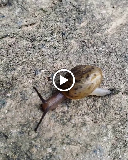 National Park «George Washington Memorial Parkway First Overlook», reviews and photos, George Washington Memorial Pkwy, Arlington, VA 22207, USA