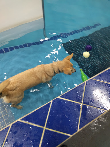 Pet Supply Store «Pet Depot Inc», reviews and photos, 2151 Greenspring Dr, Lutherville-Timonium, MD 21093, USA