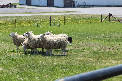 Canada Agriculture and Food Museum