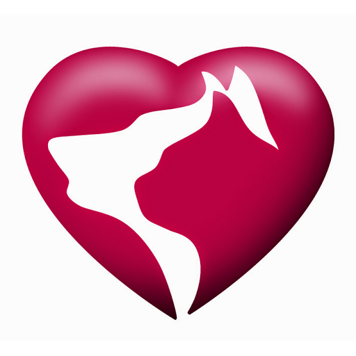 Animal Hospital Â«Bridge Veterinary HospitalÂ», reviews and photos