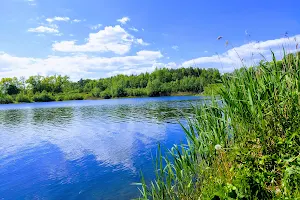 Jezioro Borowiec 2 image