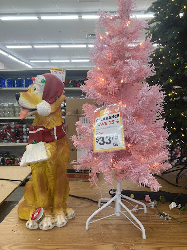 Discount Store «Big Lots», reviews and photos, 1171 Hill Rd N, Pickerington, OH 43147, USA