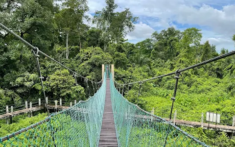 Air Hitam Dalam Educational Forest image