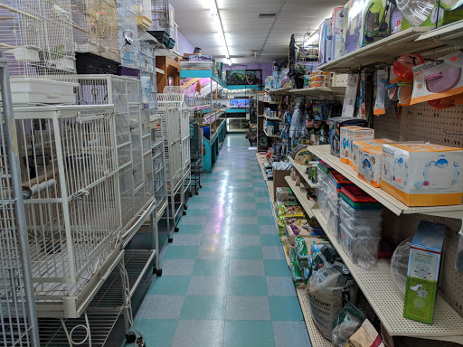 Pet Supply Store «Port Orange Pets», reviews and photos, 4074 S Ridgewood Ave, Port Orange, FL 32127, USA
