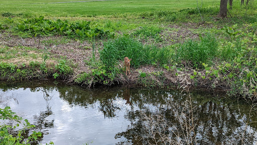 Golf Course «Flanders Valley Golf Course», reviews and photos, 81 Pleasant Hill Rd, Flanders, NJ 07836, USA