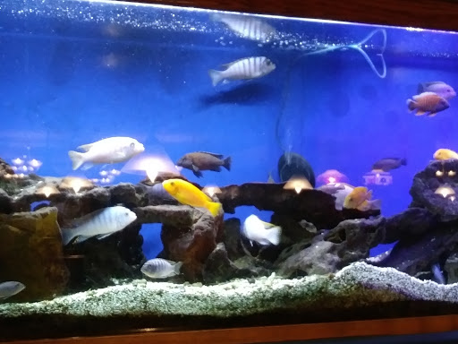 Shopping Mall «Tiffany Plaza Mall», reviews and photos, 7800 E Hampden Ave, Denver, CO 80231, USA