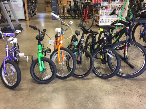 Bicycle Store «Playtri», reviews and photos, 7171 Colleyville Blvd, Colleyville, TX 76034, USA