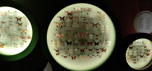 Art Museum «Bruce Museum», reviews and photos, 1 Museum Dr, Greenwich, CT 06830, USA