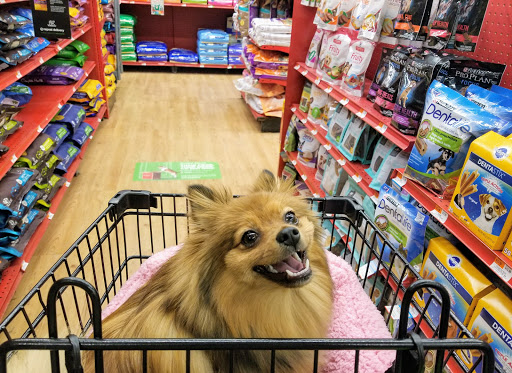 Pet Supply Store «Petco Animal Supplies», reviews and photos, 210 Fortune Blvd, Milford, MA 01757, USA