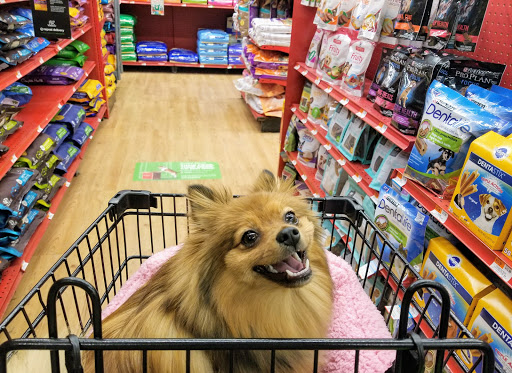 Petco