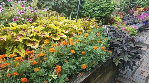 Book Store «The Book Loft of German Village», reviews and photos, 631 S 3rd St, Columbus, OH 43206, USA