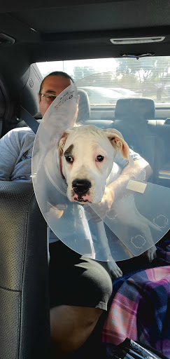 Pet Supply Store «PetSmart», reviews and photos, 2100 McHenry Ave, Modesto, CA 95350, USA