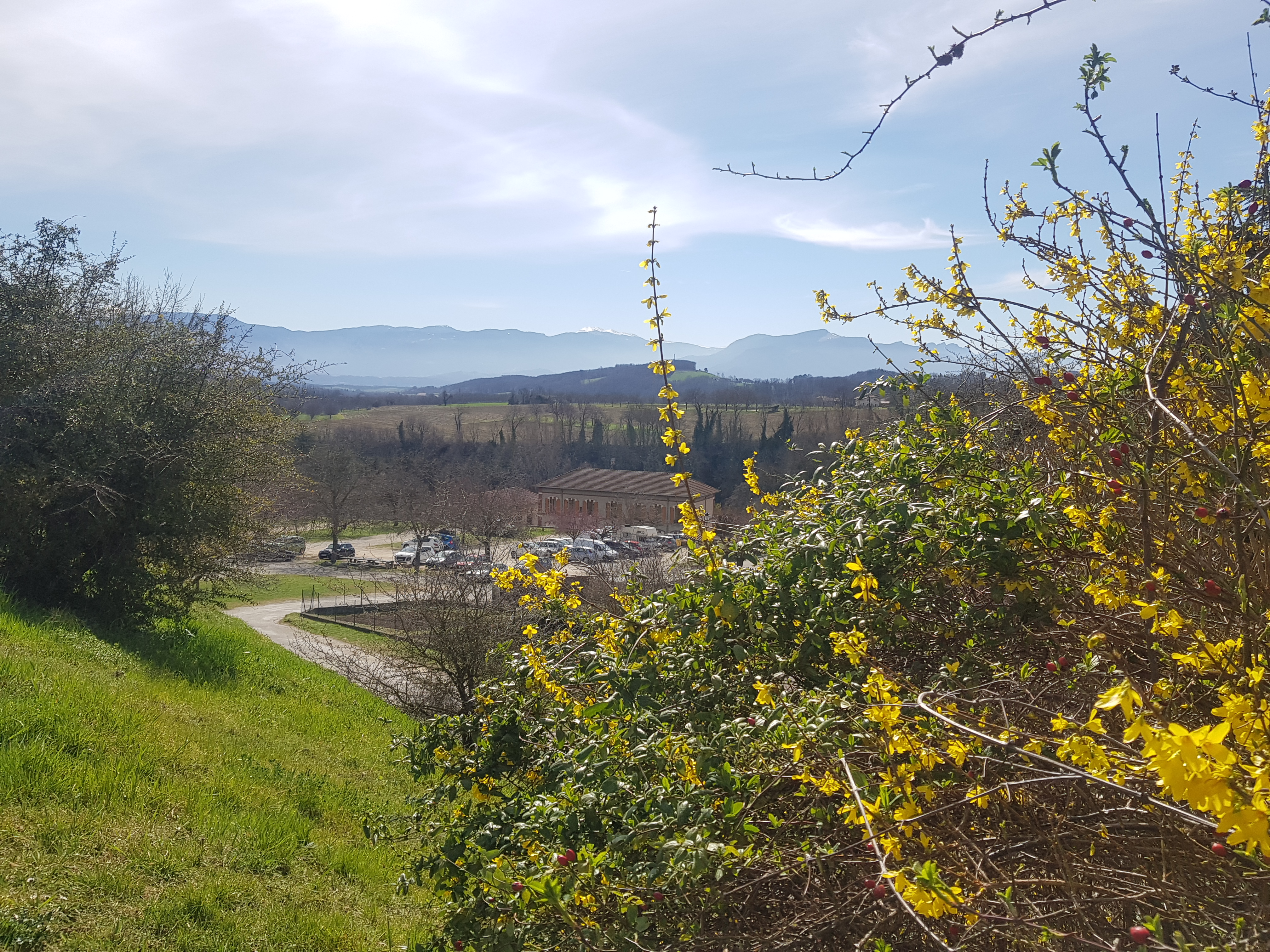 Photo n° 2 de l'avis de C..a fait le 16/03/2022 à 18:41