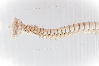ARLA Maider OSTEOPATHE D.O à Tarnos