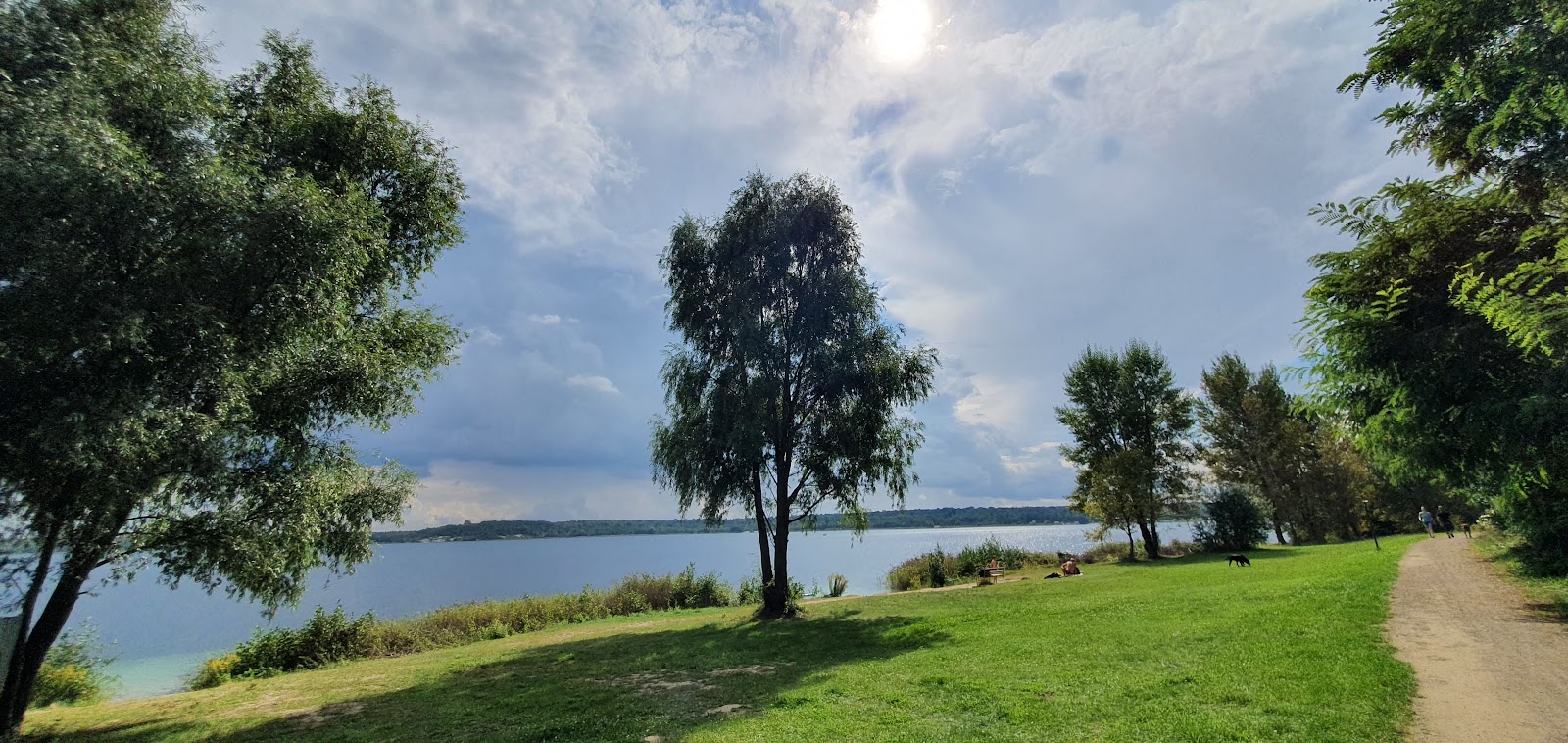 Photo de Hasselbacher See Strand avec l'eau cristalline de surface