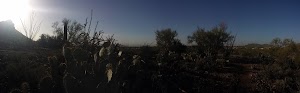 Tucson Estates Foothills - photo 22