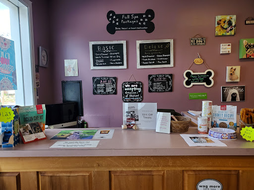 Pet Groomer «Pet-icure Pet Grooming & Supplies», reviews and photos, 89 Main St, Pepperell, MA 01463, USA