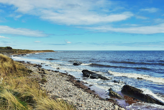 East Haven Beach