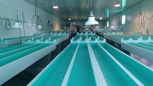 Caterer «Town & Country Caterers», reviews and photos, 922 S Route 9W, Congers, NY 10920, USA