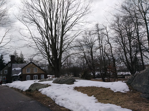 Non-Profit Organization «Museum of American Bird Art at Mass Audubon», reviews and photos, 963 Washington St, Canton, MA 02021, USA
