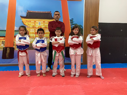 Kahramanmaraş Taekwondo Tosyalı spor okulu
