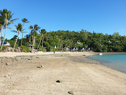 Photo de Palm Bay Beach avec rivage droit, long