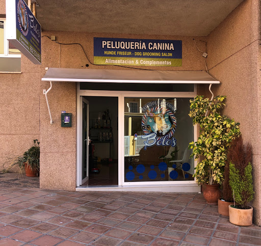 Bolos Peluqueria Canina - Bloque 1, n°4, 29793 Torrox Costa, Málaga, España